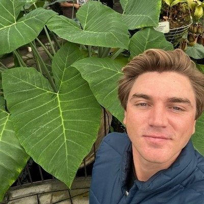 Plant Whisperer - In-Home Plant Sitting - Los Angeles, CA 90048