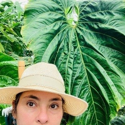 Plant Sitter in NorthEast Los Angeles & Pasadena area - Drop-In Visits - Los Angeles, CA 90041