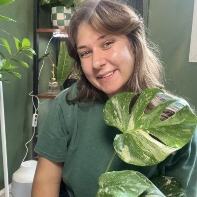 Experienced Houseplant Sitter & Plant Care